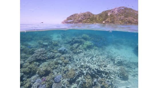 super el nino UNESCO Desak Australia Lindungi Terumbu Karang saat Super El… super el nino - ilustrasi berita UNESCO Desak Australia Lindungi Terumbu Karang saat Super El Nino Mendekat