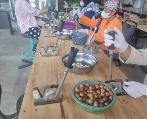 macadamia coffee ampelgading - ilustrasi berita Macadamia Coffee Ampelgading, Inovasi Kopi Lereng Semeru dengan Cita&hellip;